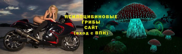 прущая мука Аркадак