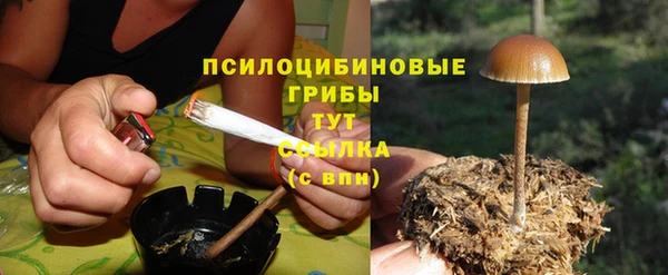 прущая мука Карпинск